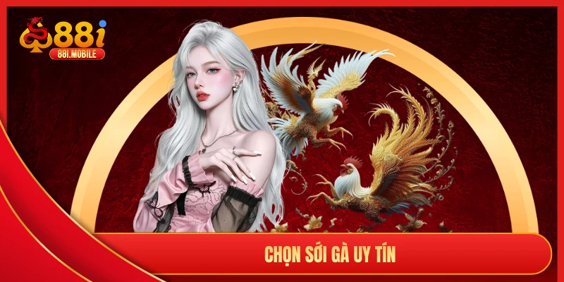 Chọn sới gà uy tín