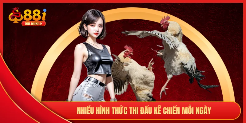 Nhiều hình thức thi đấu kê chiến mỗi ngày